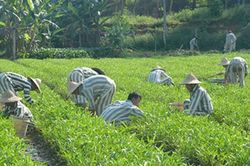 Người đang chấp hành án phạt tù vẫn được hưởng tài sản thừa kế khi nào?