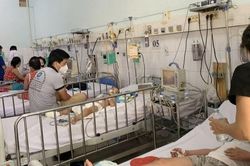 Đã có 1.500 túi dịch truyền Dextran điều trị sốc sốt xuất huyết về Việt Nam