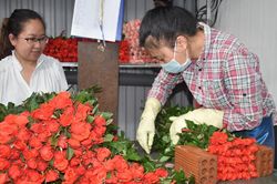 Để tăng thu nhập từ nghề truyền thống