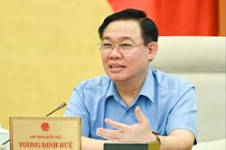 Đề xuất tập trung giám sát việc phân phối, sử dụng vaccine