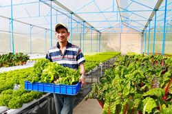 Tăng cường quản lý nguồn gốc sản phẩm nông sản