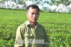 Làm giàu trên đất quê hương