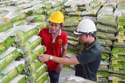 Giá gạo xuất khẩu tăng mạnh