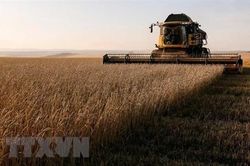 Trao đổi thương mại Mexico-Nga tăng cao trong nửa đầu năm nay