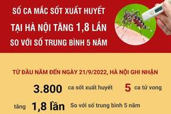 Hà Nội: Số ca sốt xuất huyết tăng 1,8 lần so với số trung bình 5 năm