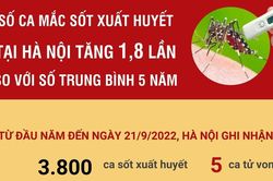 Hà Nội: Số ca mắc sốt xuất huyết tăng 1,8 lần so với số trung bình 5 năm