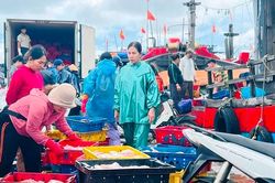 Thừa Thiên Huế thực hiện lệnh cấm biển để phòng tránh bão Noru