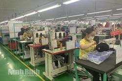 'Bức tranh' doanh nghiệp có nhiều khởi sắc