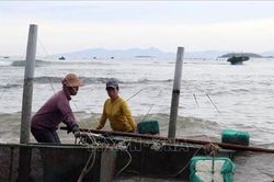 Ứng phó với bão số 4: Các tỉnh miền Trung tích cực chuẩn bị ứng phó với cơn bão số 4