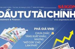 Đón đọc SGGP ĐẦU TƯ TÀI CHÍNH