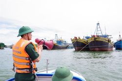 Bình Thuận: Toàn bộ tàu cá được hướng dẫn tránh, trú bão an toàn