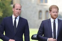 Hoàng tử Harry và William không thoải mái khi đứng cạnh nhau