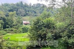 Rủ nhau tắm khe suối, 3 cháu bé ở Lạng Sơn chết đuối thương tâm