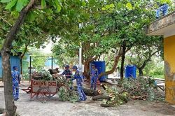 Hơn 1.000 ngư dân vào các âu tàu ở Trường Sa tránh trú bão Noru
