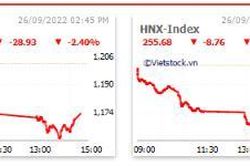 Nhóm tài chính và chứng khoán giảm sâu, VN-Index lùi về 1.174 điểm