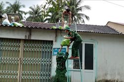 Hỗ trợ người dân chằng chống nhà cửa, di dời trước khi bão đổ bộ