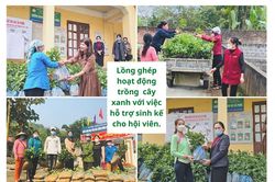 Lan tỏa phong trào trồng cây xanh