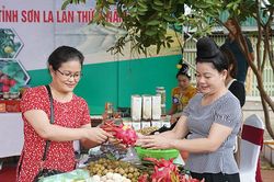 Giúp nông dân tiếp cận sàn thương mại điện tử