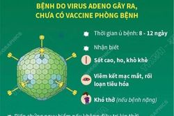 Y tế - Sức khỏe Tin tức y tế Cẩn trọng với vi-rut Adeno