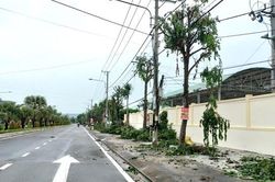 Quảng Nam: Đẩy mạnh công tác đảm bảo an toàn giao thông ứng phó với bão số 4
