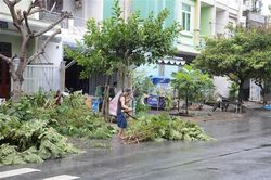Ứng phó bão số 4-Noru: Đảm bảo điện cho khu vực miền Trung-Tây Nguyên