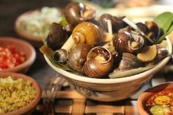 Thực hư thông tin mẹ bầu ăn ốc, con bị chảy dãi?