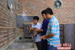 Thêm nghề để giúp người tái hòa nhập cộng đồng phát triển kinh tế