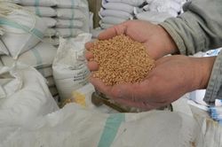 ADB công bố gói hỗ trợ 14 tỷ USD giải quyết khủng hoảng lương thực
