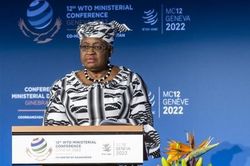 Tổng giám đốc WTO: Kinh tế thế giới đang trên đà suy thoái