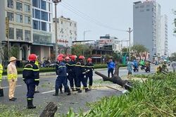 Bão số 4 quét qua Quảng Nam, Đà Nẵng gây mất điện trên diện rộng, chưa gây thiệt hại về người