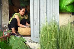Làng Mễ Trì rộn ràng vào vụ cốm mới