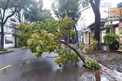 Bão số 4 gây thiệt hại về tài sản tại Gia Lai