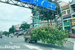 Xe ba gác chở hàng cồng kềnh
