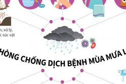 Phòng chống dịch bệnh trong bão lụt và mưa lũ