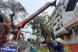 Bão Noru khiến 16 người bị thương, nhiều tuyến đường bị sạt lở, chia cắt