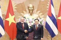 Chủ tịch Quốc hội Vương Đình Huệ hội kiến Thủ tướng Cộng hòa Cuba Manuel Marrero Cruz