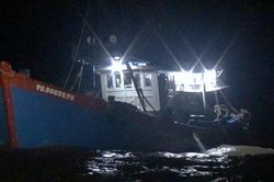 Cà Mau: Bắt tàu cá vận chuyển 80 ngàn lít dầu DO không rõ nguồn gốc