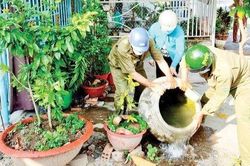 TP. Hồ Chí Minh: 149 ổ dịch sốt xuất huyết mới phát sinh, thêm 1 trường hợp tử vong