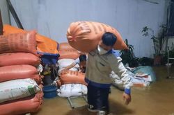 Nghệ An: Mưa lớn sau bão khiến một người mất tích, bà con xuyên đêm 'đắp đập be bờ'