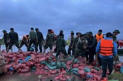 Nghệ An huy động gần 250 cán bộ, chiến sĩ cứu đê
