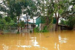 Nghệ An: Sớm ổn định cuộc sống người dân bị thiệt hại do mưa lớn