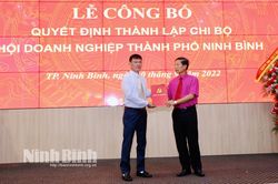 Công bố quyết định thành lập chi bộ Hội Doanh nghiệp thành phố Ninh Bình