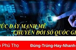Ý nghĩa, lịch sử ra đời của Ngày Chuyển đổi số Quốc gia