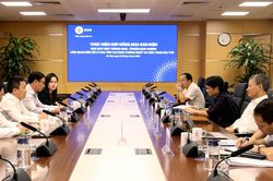 EVN đề xuất sớm đưa điện mặt trời của Trung Nam Group tham gia thị trường điện
