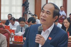 Bị cách chức Chủ tịch tỉnh, ông Võ Ngọc Thành xin thôi đại biểu HĐND
