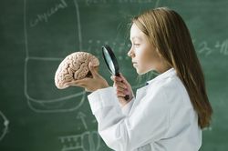 Phát hiện tế bào giúp hình thành não trẻ nhỏ