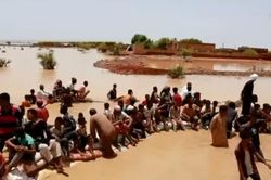 Rắn và bọ cạp tràn vào Sudan khi mùa mưa đến