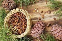 Loại quả dại trước rụng đầy gốc bỗng thành đặc sản giá nửa triệu/kg