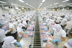 Doanh nghiệp lạc quan về hoạt động sản xuất kinh doanh