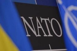 Đức nói gì về việc Ukraine xin gia nhập NATO?